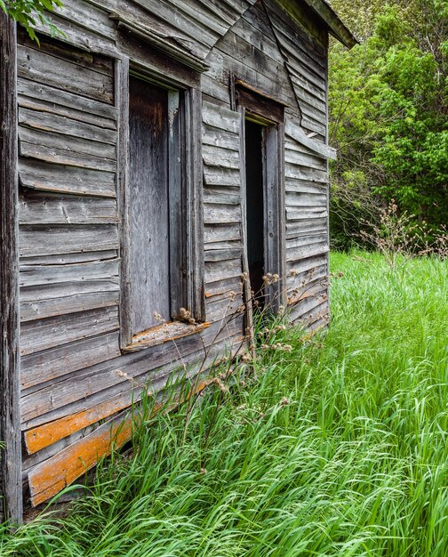 Photo barn on field against trees