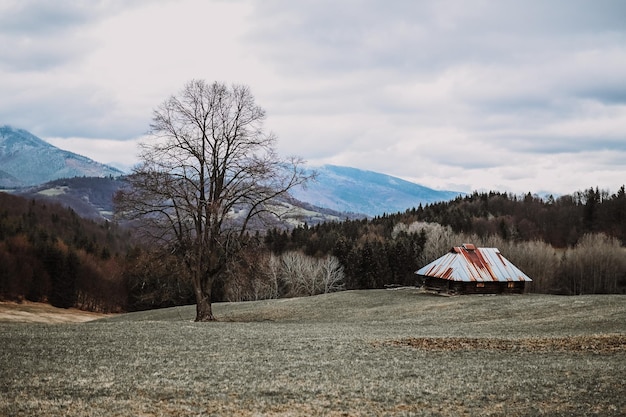 A barn in a field with mountains in the background