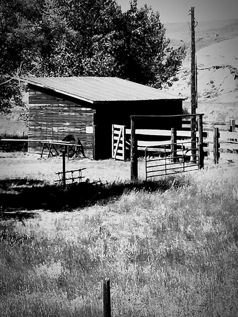 Photo barn on field