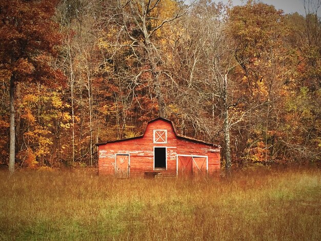 Barn in forest during autumn