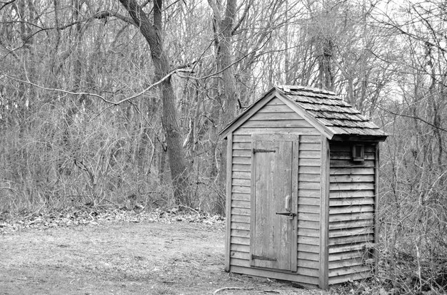 Photo barn in forest