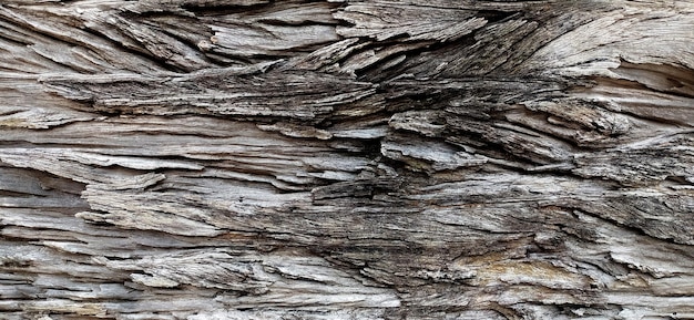 Фото Сарай старая текстура дерева для фона