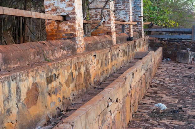 Barn trough on the corral