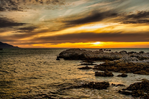 The Barnacle covered rocks in the bay under a stunning sunrise of the coast of Kaikoura