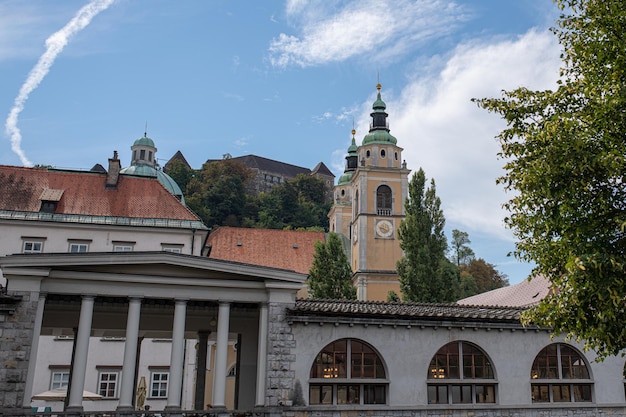 Baroque cathedral of lubljana slovenia