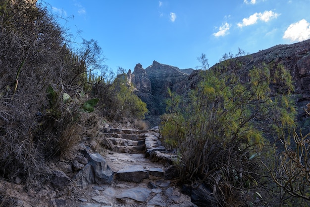 Barranco del infierno. tenerife. spanje. een oude verlaten toeristenroute