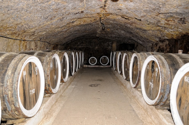 Barrels of wine in the cellar.