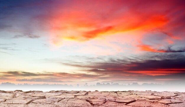 Barren ground or cracked soil pattern.