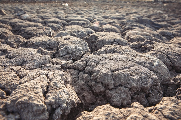 Barstgrond in droog seizoen