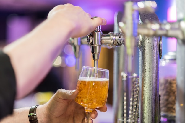 Bartender pouring lager beer in a glass.