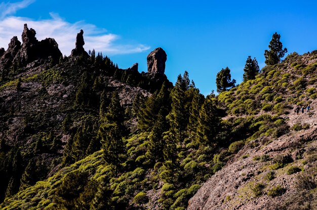 Basaltformatie vulkanisch gesteente op de Canarische Eilanden van Gran Canaria