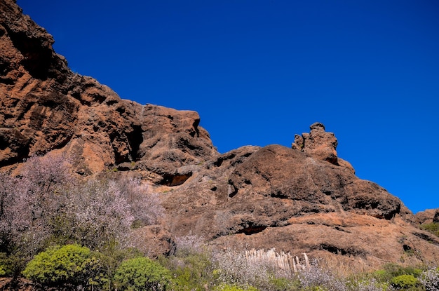Basaltformatie vulkanisch gesteente op Gran Canaria