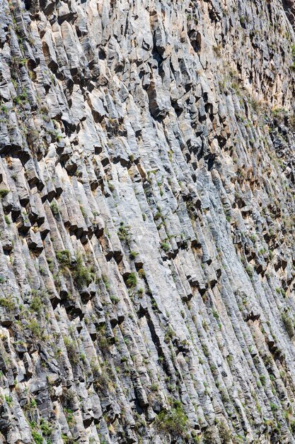 Basaltzuilen Symphony of Stones nabij de oever van de rivier de Azat nabij het dorp Garni, Armenië