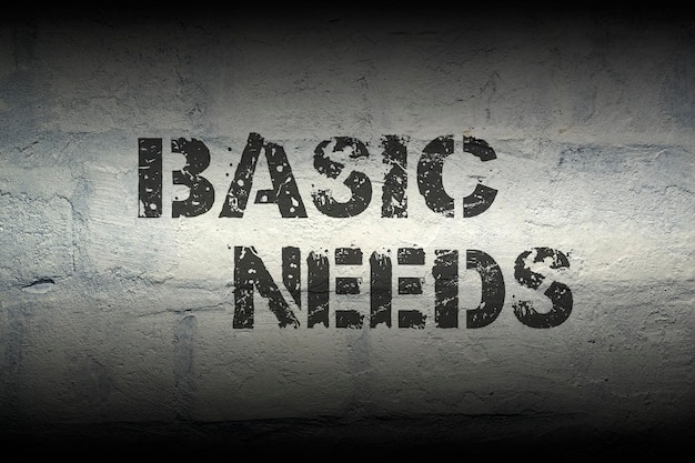 Basic needs gr