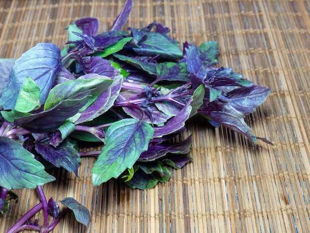 Basil bunches on the table Greenery from the garden Plants for food Salad preparation Blue fragrant leaves