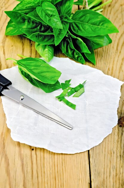 Basil green fresh with scissors on a board