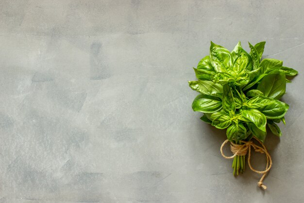 Basil on grey concrete