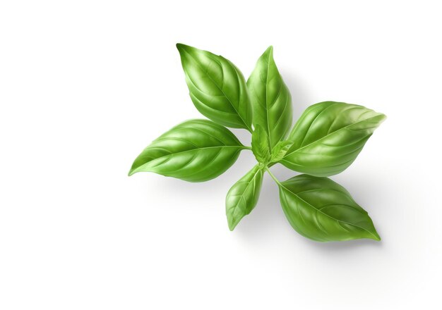 Photo basil isolated basil leaf flat lay on white background green basil leaves collection top view ai generative