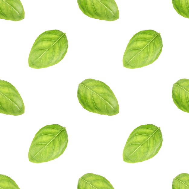 Basil leaf seamless pattern