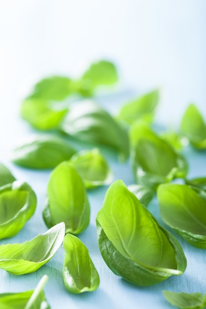 Basil leaves over blue background