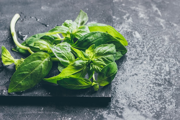 Basil leaves on a dark background