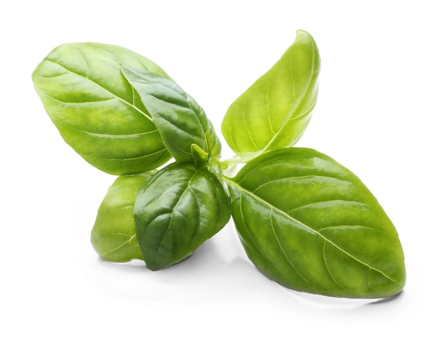 Basil leaves isolated on white