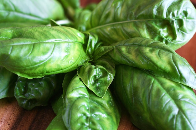 Basil leaves lie on a wooden board on the table Close up