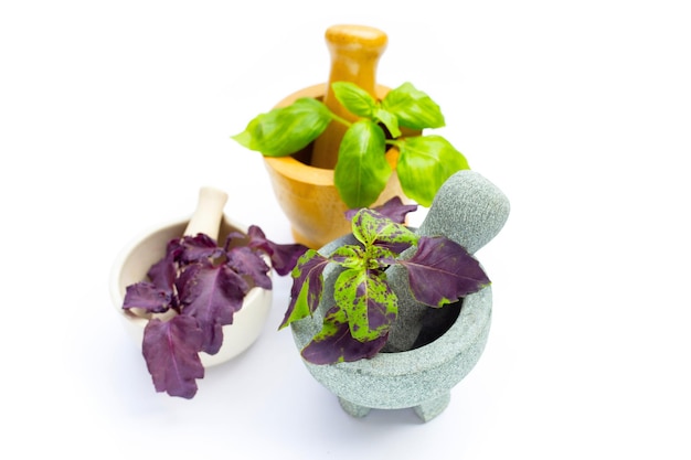 Basil leaves in mortar on white background