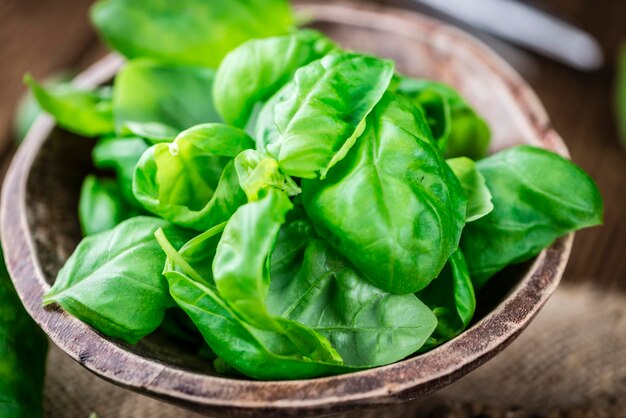 Basil Leaves selective focus closeup shot