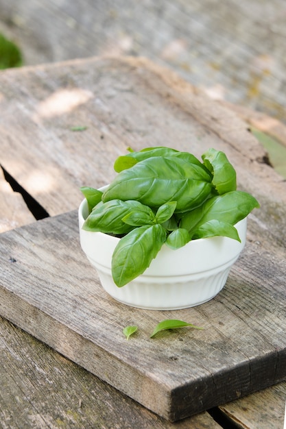 Basil leaves in white bowl