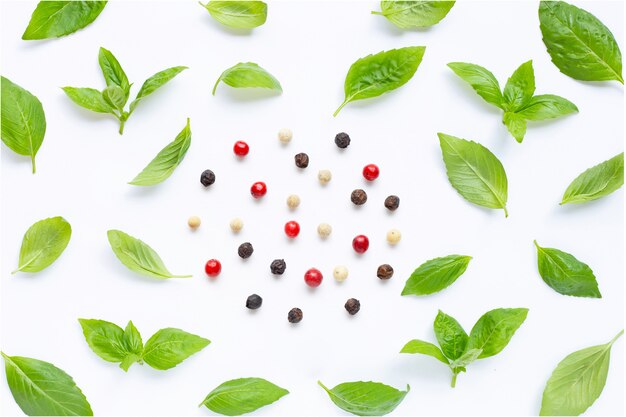 Basil leaves with  different type of peppercorns on white background. 