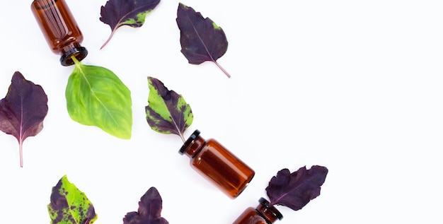 Basil leaves with essential oil bottles on white background