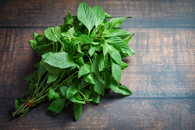 Basil leaves on wooden background