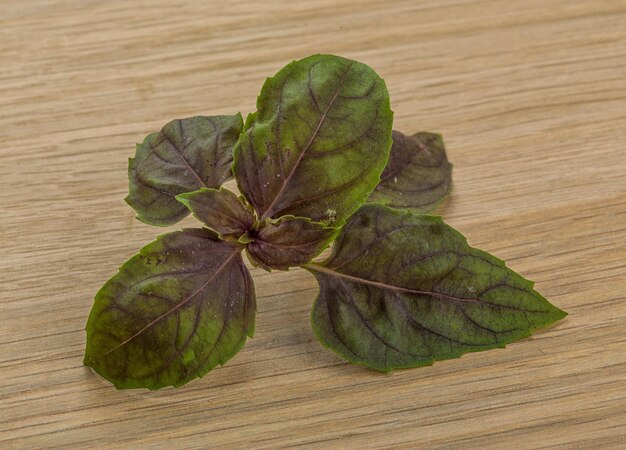 Basil leaves