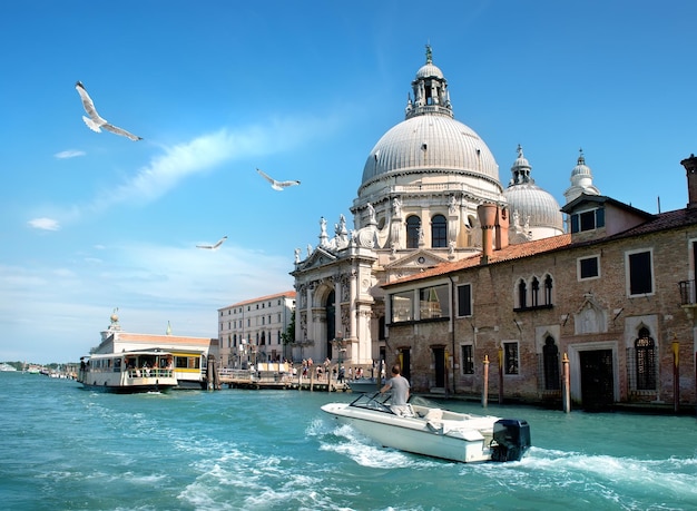 Basilica di Santa Maria della Salute in Venetië, Italië