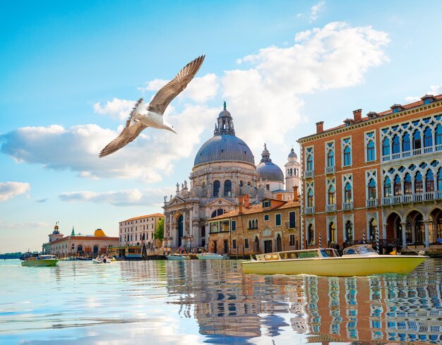 Basilica di Santa Maria della Salute in Venetië, Italië