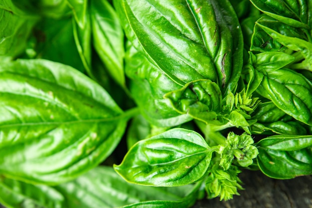 Basilicum sappige groene bloemblaadjes verse aromatische kruiden rauwe verse maaltijd snack op tafel kopieer ruimtevoedsel