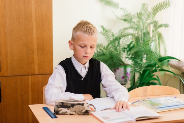 Basisschoolkinderen die in boeken in de klas schrijven