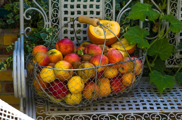 Basket of apples on the white bench