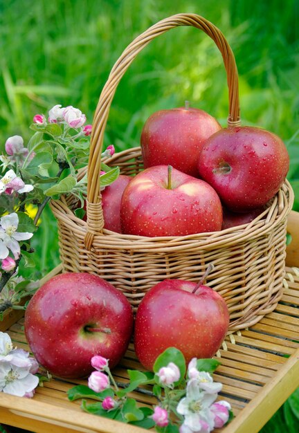 a basket of apples with a purple flower in the background.