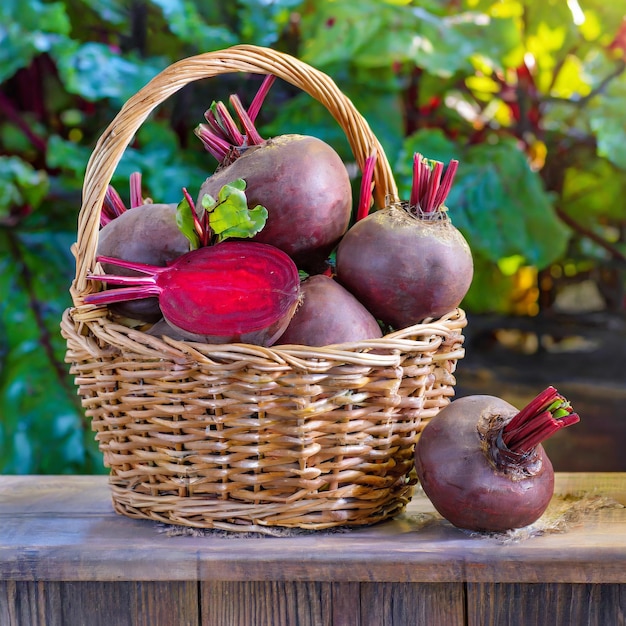 Basket Breeze Beetroots in a Wicker Haven