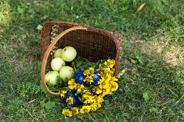 A basket of flowers and a bunch of green apples on the ground