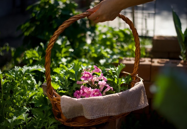 A basket of flowers is held in a garden.