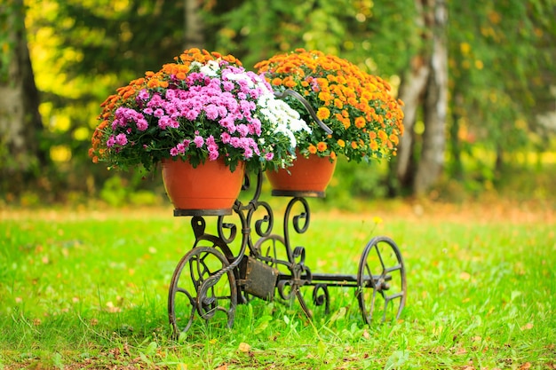 Basket of flowers on trunk of an old bicycle provence style garden decor flower delivery online orde...