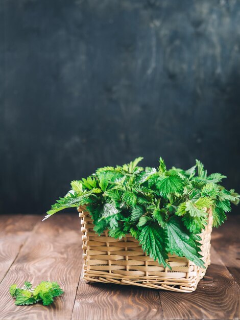 Basket of fresh stinging nettle leaves on wooden table