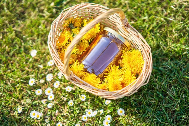 Basket of fresh yellow natural dandelion herb