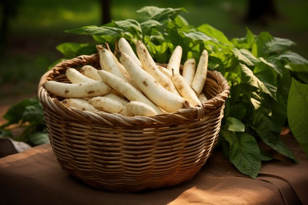 a basket full of cassava