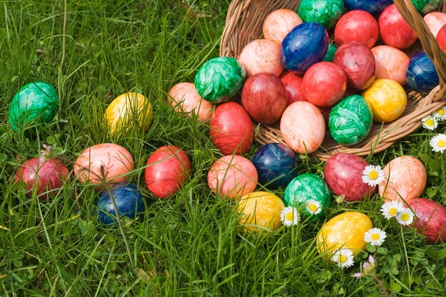 Basket full of Easter eggs in Grass