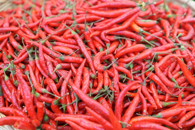 Basket Full of Fresh Red Chili Peppers