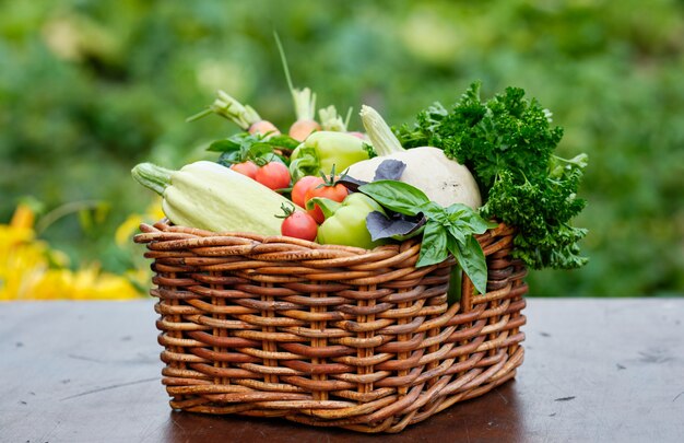 Basket full of Harvest Organic Vegetables and Root in a Garden.